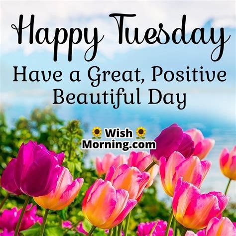 happy tuesday images|beautiful happy tuesday pics.